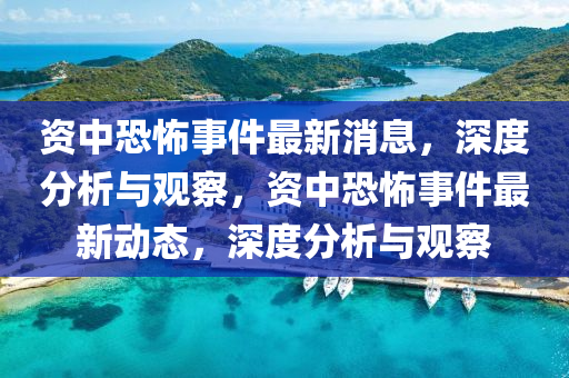 資中恐怖事件最新消息,深南充市鑫正商貿有限公司度分析與觀察,資中恐怖事件最新動態,深度分析與觀察
