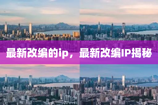 最新改編的ip,最新改編IP揭秘南充市鑫正商貿有限公司