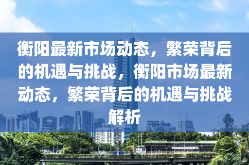 南充市鑫正商貿有限公司衡陽最新市場動態,繁榮背后的機遇與挑戰,衡陽市場最新動態,繁榮背后的機遇與挑戰解析