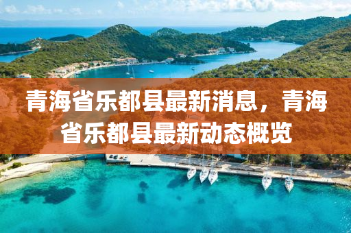 青海省樂都縣最新消息,青海省樂都縣最新動態概覽南充市鑫正商貿有限公司