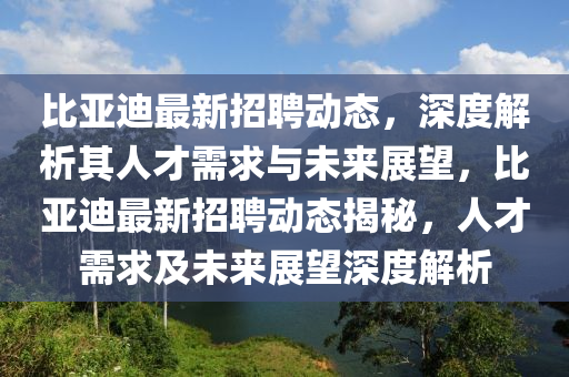 比亞迪最新招聘動(dòng)態(tài)，深度解析其人才需求與未來展望，比亞迪最新招聘動(dòng)態(tài)揭秘，人才需求及未來展望深度解析南充市鑫正商貿(mào)有限公司