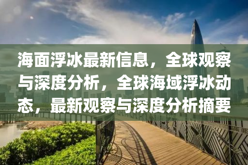 海面浮南充市鑫正商貿(mào)有限公司冰最新信息，全球觀察與深度分析，全球海域浮冰動態(tài)，最新觀察與深度分析摘要