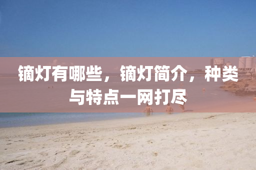 鏑燈有哪些，鏑燈簡介，種類與特點一網打盡