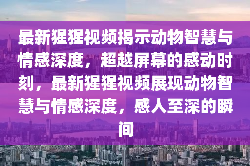 最新猩猩視頻揭示動(dòng)物智慧與情感深度，超越屏幕的感動(dòng)時(shí)刻，最新猩猩視頻展現(xiàn)動(dòng)物智慧與情感深度，感人至深的瞬間