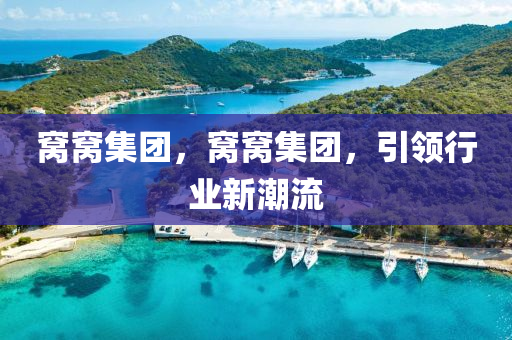 窩窩集團,窩窩集團,引領行業新潮流南充市鑫正商貿有限公司